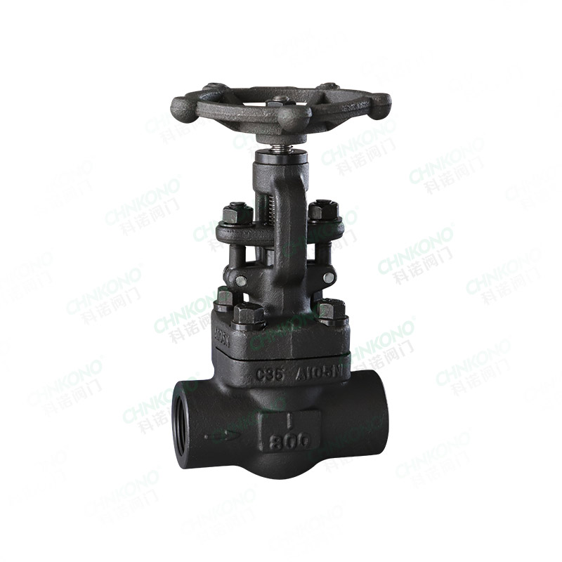 Forged steel threaded globe valve