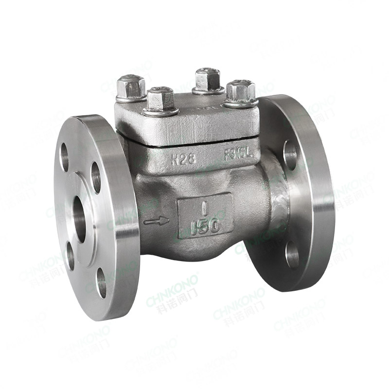 Forged steel flange check valve