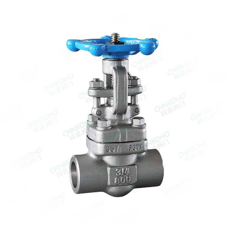 Forged steel butt welding gate valve