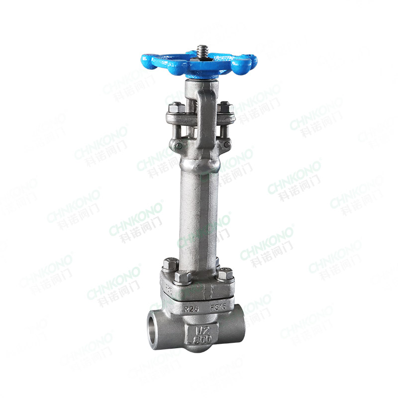 Forged steel low-temperature butt welding gate valve