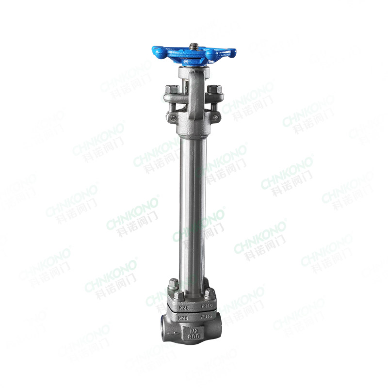 Forged steel low-temperature butt welding gate valve