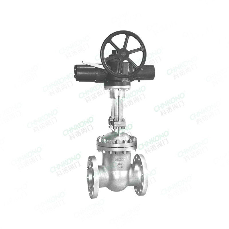 National standard electric gate valve
